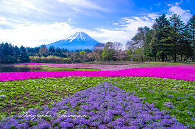 20260425-fujimotosuko-resort3190