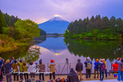 20260425-fujinomiyashi_tanukiko3118m
