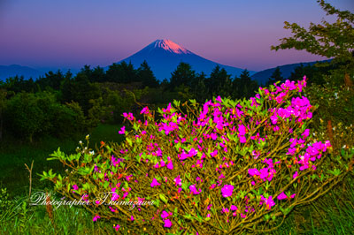 20260516-izu_jukkoku_tohge3308