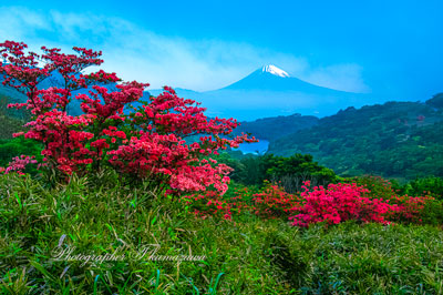 20260516-izuskyline_kurotake3325
