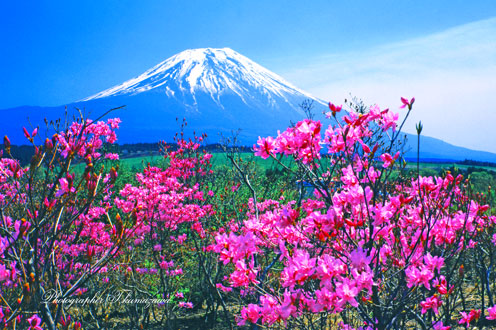 19880429-asagirikogen6990