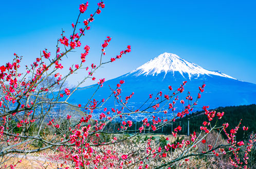 19920223-iwamotoyama459