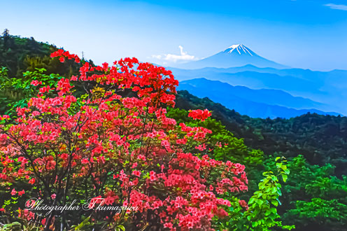 19930627-mikubokogen456960