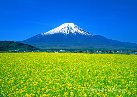 20020503-oshino45135