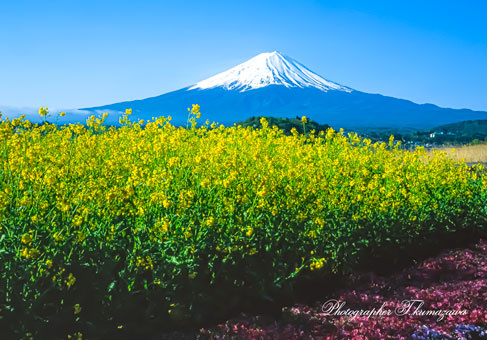 20060503-kawaguchiko69750