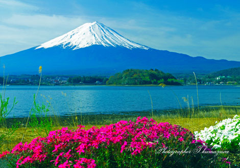 20130414-kawaguchiko060