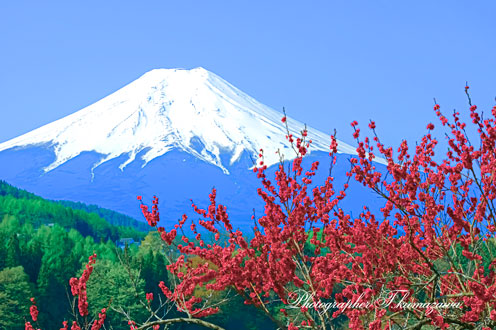 20140427-oasumi0300