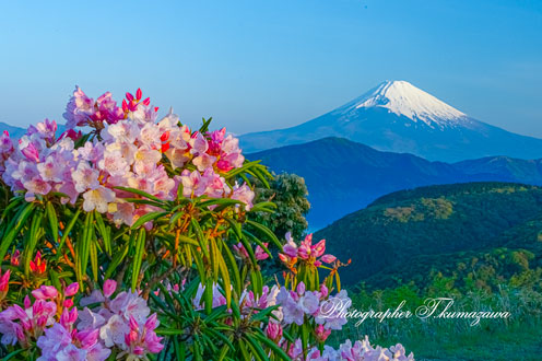 20140511-hakone_taikanyama1006