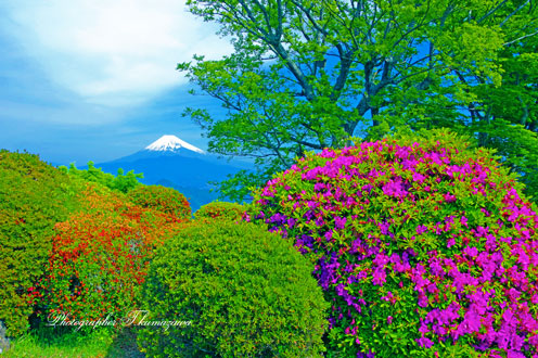 20140511-izunokunishi1098