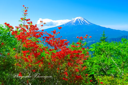 20140615-shindotoge1564