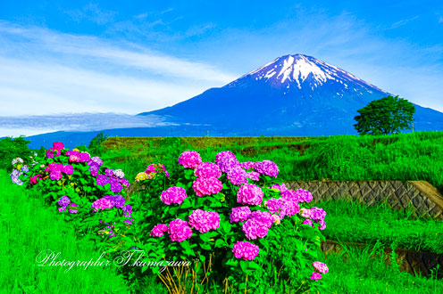20140706-gotenba1630