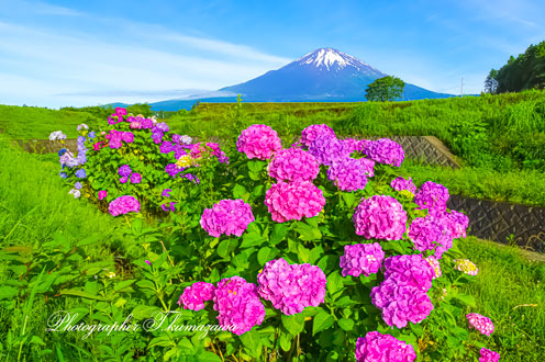 20140706-gotenbashi1642