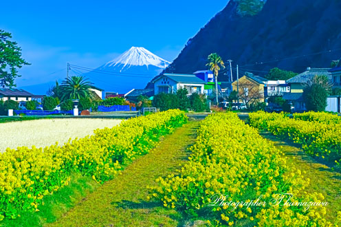 20150211-numadushi_ida113