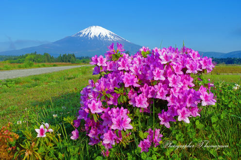 20150510-gotenba005djk3