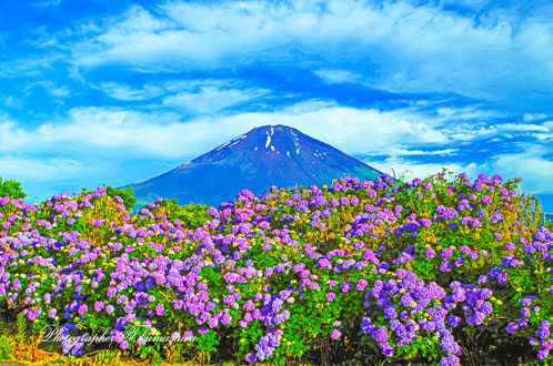 20150628-gotenbashi029