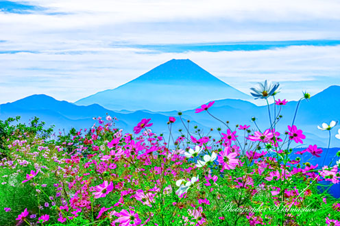 20151004-fujikawacyo_hirabayashi1110