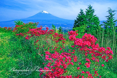 20160515-nagaotoge029