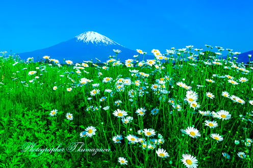 20170521-gotenba0323