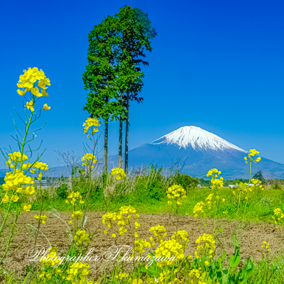20180422-gotenba075