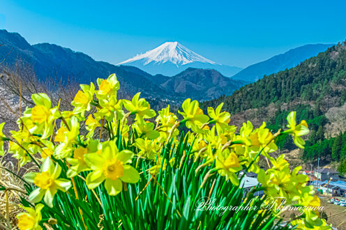 20190406-maki018
