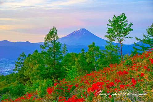 20190617-amariyama0779