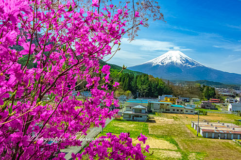 20240420-fujiyoshidashi_asumi8228