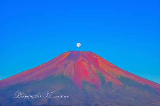 20240723-yamanakako-mtfuji4155