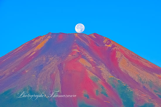 20240723-yamanakako-mtfuji4165