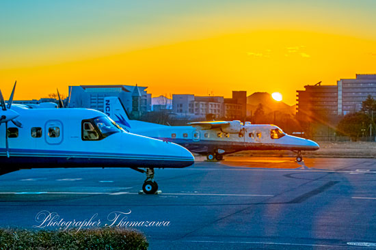 20250126-Chofu-airport9815