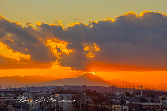 20250128-jindaijimotomachi9974