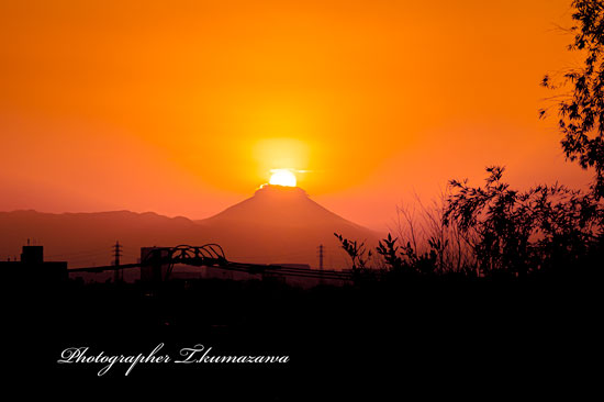 20260119-koganeishi_kannonzaka1168