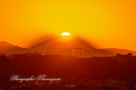 20260203-chofu_gohonmatukoen1969