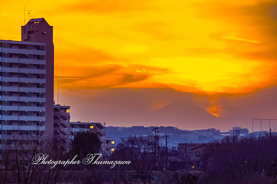 20260205-komaeshi_motoizumi2_2260