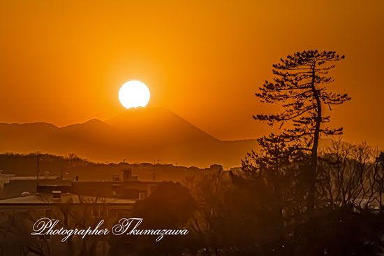 20260206-komaeshi_motoizumi3_2296