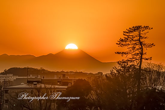 20260206-komaeshi_motoizumi3_2329