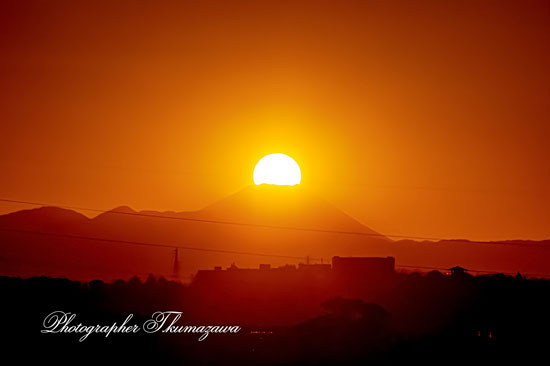 20260209-setagayaku_kitami1_2413