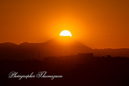 20260209-setagayaku_kitami1_2438