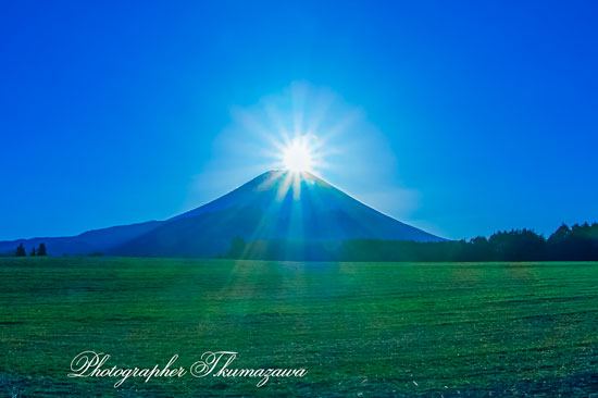 20260305-asagirikogen2569