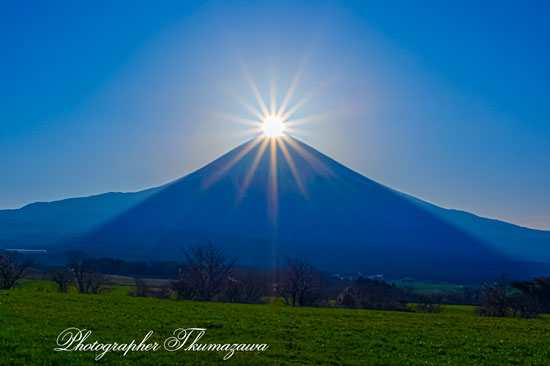 20260321-fujinomiyashi_hitoana2727