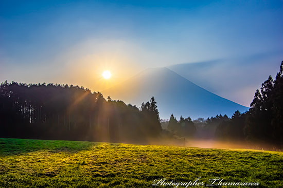 20260329-asagirikogen2833