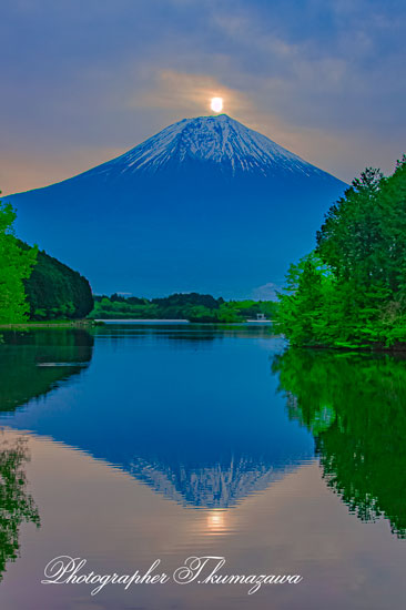 20260425-fujinomiyashi_tanukiko3152t