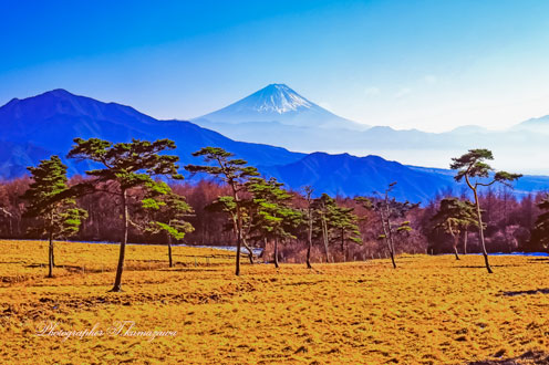 19890103-makibakoen451353
