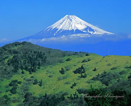 20030104-nishiizusk45400