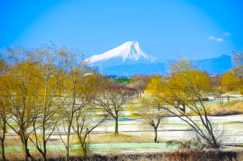 20150112-nogimachi_watarase038