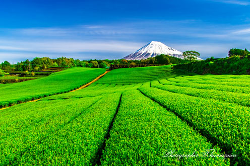 20190428-fujishi_imamiya0623