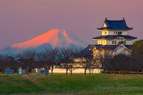 20260105-sakaimachi_sekiyadojuo0374