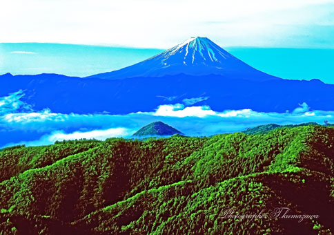 19930523-mizugamori69136