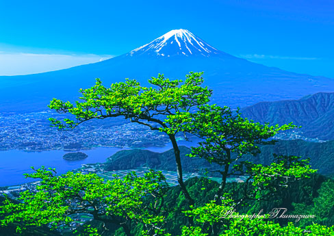 20020526-shindo6998