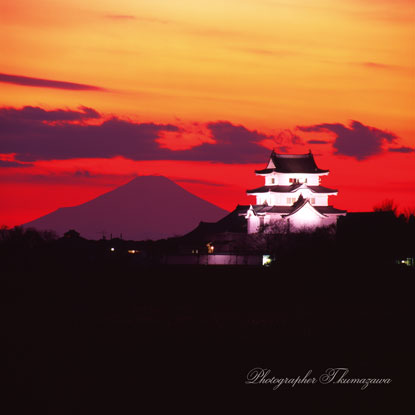 20111218-sekiyadojyo66507