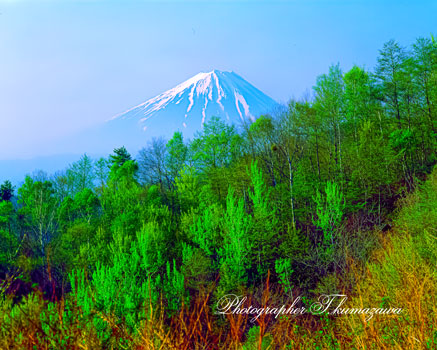 19930516-mizugamori4550001